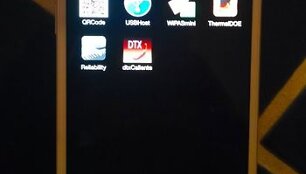 Vartotojas mėgino parduoti "iPhone 6" prototipą