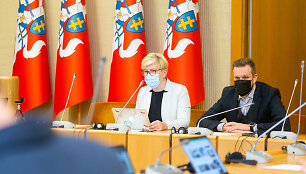Ingrida &Scaron;imonytė ir Gabrielius Landsbergis