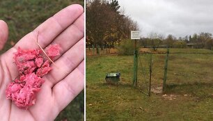 Parke i&scaron;mėtyti &scaron;unų skanėstai i&scaron;gąsdino panevėžiečius
