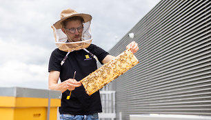 Iš finansininko į miesto bitininką: Paulius lietuviams ir pasauliui skleidžia svarbią žinią apie bites