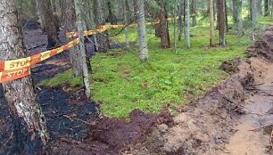 Gaisro nusiaubtas mi&scaron;kas Kenos girininkijoje