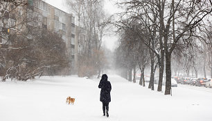 Vilnių užklupo sniego audra