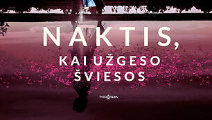 Karen White &bdquo;Naktis, kai užgeso &scaron;viesos&ldquo; 