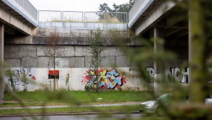 Šiemet pasodinti medžiai Ateities gatvėje ties Geležinio Vilko gatvės viaduku