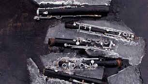 Ledo inkliuzai
