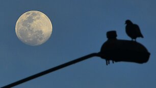 &bdquo;Supermėnulis&ldquo; Bogotoje, Kolumbijoje