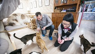 „Cat Cafe“ kavinės akimirka