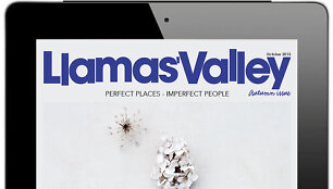 &bdquo;Llamas Valley&ldquo; (iPad versija)