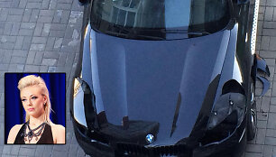 Vilijos Pilibaitytės-Mios BMW X6 suniokojo vagys