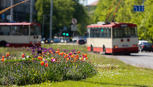 Vasariška šiluma pasiekė Vilnių