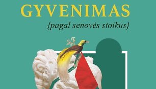 Knyga