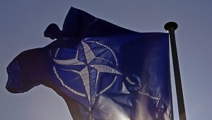 NATO vėliava