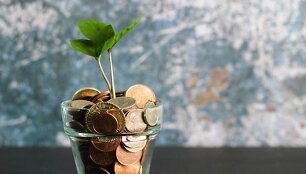 5 dalykai, kuriuos verta žinoti pradedantiems investuoti