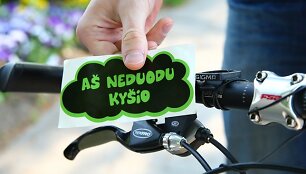 Ky&scaron;is. Asociatyvi nuotrauka.