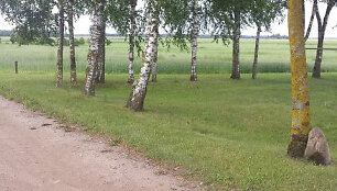 Įvykio vietoje
