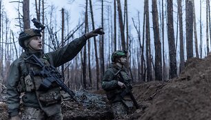 Ukrainos kariai