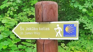 Žygis &bdquo;Camino Lituano&ldquo; keliu