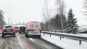 Eismas Alytuje