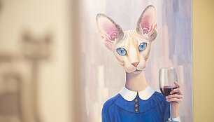 &bdquo;Cat Cafe&ldquo; kavinės akimirka