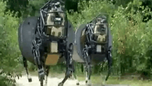 &Scaron;uo robotas