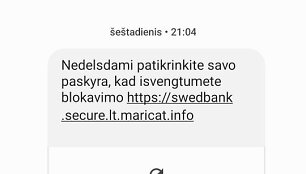 Sukčių siunčiama žinutė