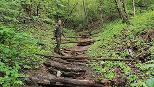 Pavilnių ir Verkių regioninių parkų darbuotojai užtveria takus kalnų dviratininkams.