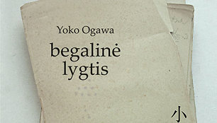 Leidyklos nuotr./Begalinė lygtis