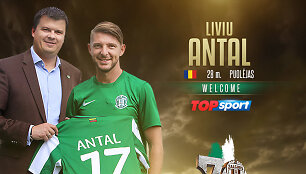 Livis Antalis