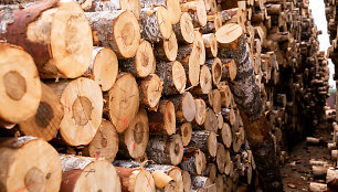 Šiaulių rajone iš sandėlio pavogta medienos už 1,4 tūkst. eurų, dalis jos rasta