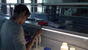 iGEM laboratorijoje