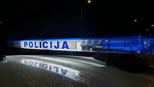 Registruota net 14 avarijų su gyvūnais