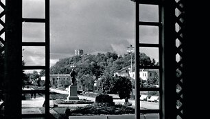 Knygos vir&scaron;elis