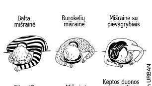 Mi&scaron;rainė