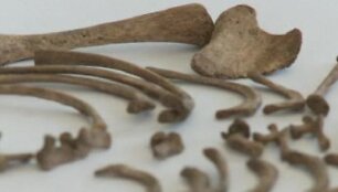 Archeologų rasti kūdikių kaulai rodo, kad jie buvo nužudyti i&scaron;kart po gimimo.
