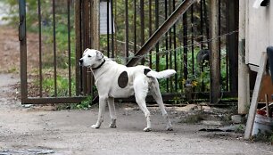 &bdquo;Skaiteks&ldquo; teritoriją norima prikelti naujam gyvenimui