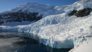 Antarktidos gamta