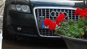 &bdquo;Audi&ldquo; priekis