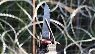 I&scaron; migrantų Lenkijos pasieniečiai atėmė tokį peilį