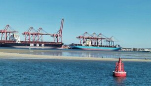  Kompanijos &bdquo;Maersk&ldquo; laivas Volvis Bėjaus uoste (Namibija) dėl medūzų 4 valandas negalėjo i&scaron;plaukti. 