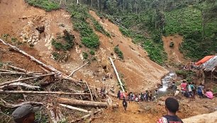 Papua Naujojoje Gvinėjoje nuslinkus nuošliaužai žuvo mažiausiai 15 žmonių