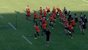 &bdquo;Haka&ldquo; &scaron;okis