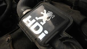 Garažas: Gedimino &bdquo;Peugeot 206&ldquo;