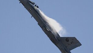 JAV gamybos orlaivis F/A-18 &bdquo;Hornet&ldquo;