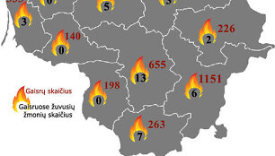 Gaisrų statistika