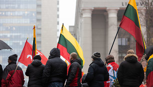 Protestas prie Seimo Sausio 13-ąją