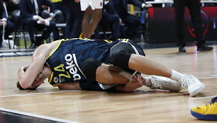 Janas Vesely