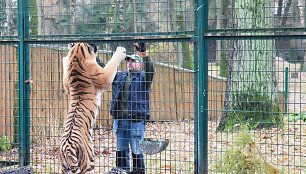 &bdquo;Moliūgiadienis&ldquo; Lietuvos zoologijos sode