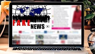 Ekspertai mano, kad RISI suteikiama per daug nuopelnų už tariamą ki&scaron;imąsi į JAV prezidento rinkimus