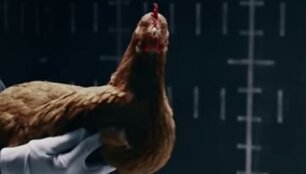 &bdquo;Mercedes-Benz&ldquo; reklamos akimirka