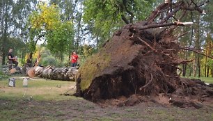 Audros nusiaubta sodyba